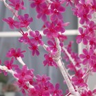 Светодиодное дерево «Акриловое» 1.8 м, 768 LED, постоянное свечение, 220 В, свечение фиолетовое - Фото 4