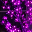 Светодиодное дерево «Акриловое» 1.8 м, 768 LED, постоянное свечение, 220 В, свечение фиолетовое - Фото 6