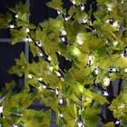 Светодиодное дерево «Клён» 1.8 м, 384 LED, постоянное свечение, 220 В, свечение белое - Фото 3