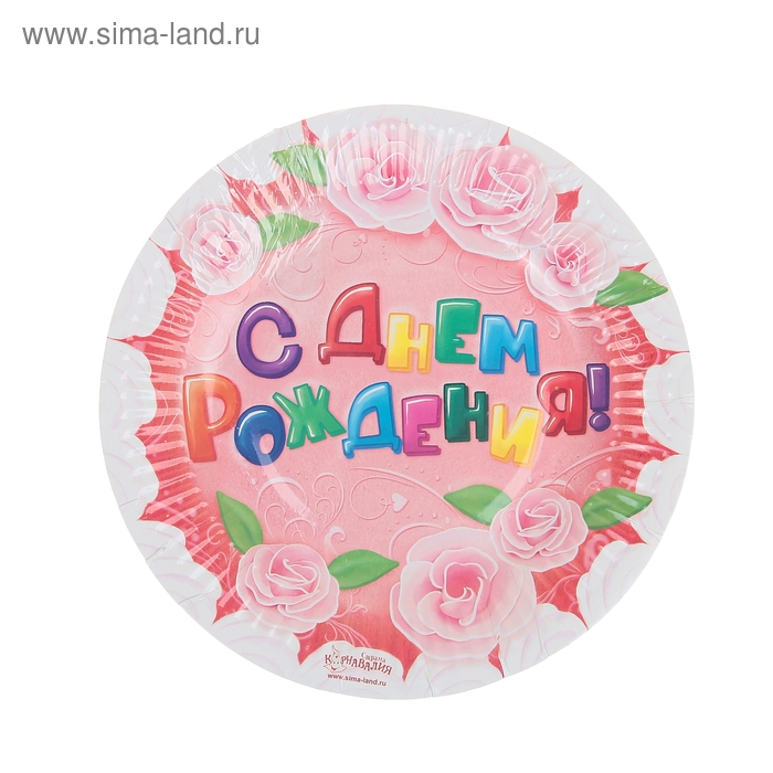 Набор бумажных тарелок "С Днем Рождения!" (6 шт.), 18 см - Фото 1