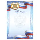 Грамота А4 «Герб», триколор, с голубыми узорами, 157 гр/кв.м (комплект 40 шт) - фото 25261954