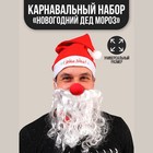 Карнавальный костюм взрослый «Новогодний Дед Мороз», 3 предмета: колпак, борода, нос, на новый год - фото 8592082