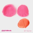 Молд Доляна «Лепесток розы», силикон, 2 предмета, 6,7×6,2 см, цвет розовый - Фото 1