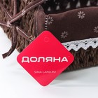 Корзина для хранения плетёная ручной работы Доляна «Маргаритки», 25×17×9 см, цвет коричневый - Фото 4