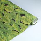 Бумага упаковочная крафт "Тропический рай", 0.5 х 10 м - Фото 1