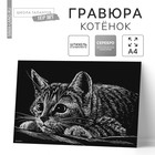 Гравюра «Котёнок» с металлическим эффектом, серебро, А4 - Фото 1