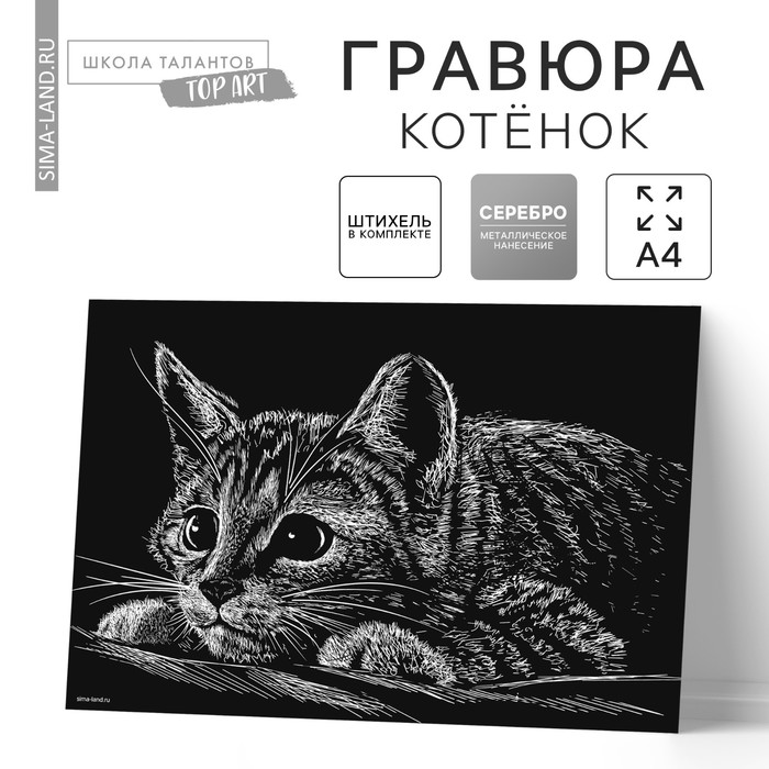 Гравюра «Котёнок» с металлическим эффектом, серебро, А4 - Фото 1