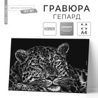 Гравюра «Гепард» с металлическим эффектом «серебро» А4 - фото 25019961