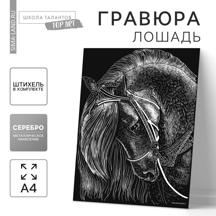 Гравюра «Лошадь» с металлическим эффектом «серебро» А4 - Фото 1