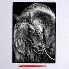 Гравюра «Лошадь» с металлическим эффектом «серебро» А4 - фото 8344752