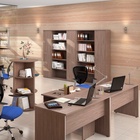 Шкаф прямой двухстворчатый для документов IMAGO СТ-1.1, 770×365×1975 мм, цвет ясень шимо - Фото 3