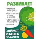 Рамка-вкладыш «Овощи», 5 элементов - Фото 2