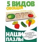 Рамка-вкладыш «Овощи», 5 элементов - Фото 4