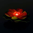 Декор световой "Цветок" с датчиком прикосновения с водой, цвета МИКС - Фото 7