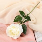 Цветы искусственные "Роза Глория" 9х60 см, белый - Фото 1