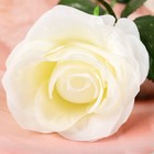 Цветы искусственные "Роза Глория" 9х60 см, белый - Фото 2