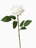 Цветы искусственные «Роза Глория», 9×60 см, белые - Фото 5
