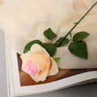 Цветы искусственные "Роза Глория" 9х60 см, кремовый - Фото 1