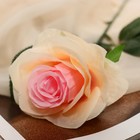 Цветы искусственные "Роза Глория" 9х60 см, кремовый - Фото 2