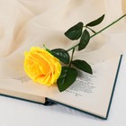 Цветы искусственные "Роза Глория" 9х60 см, жёлтый - фото 320399391