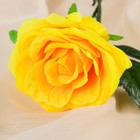 Цветы искусственные "Роза Глория" 9х60 см, жёлтый - Фото 2