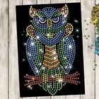 Аппликация пайетками с клеевым слоем "Сова", 21×30 см - Фото 1