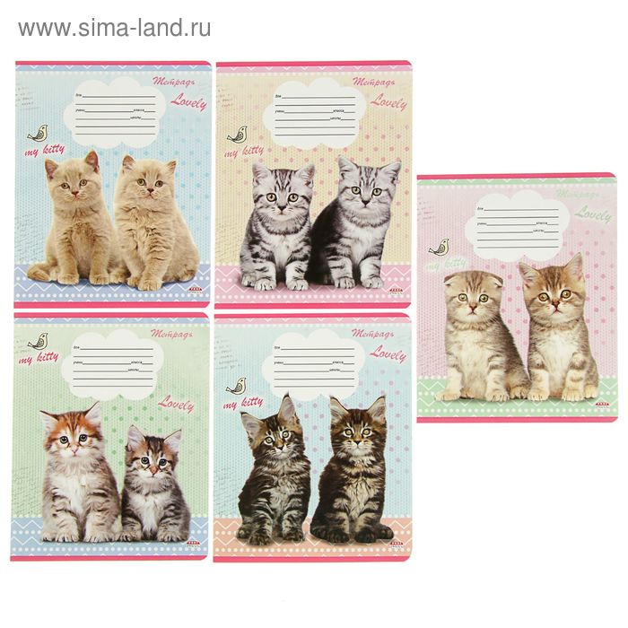 Тетрадь 12 листов косая линейка "Милые котята-3", обложка мелованный картон, 5 видов - Фото 1
