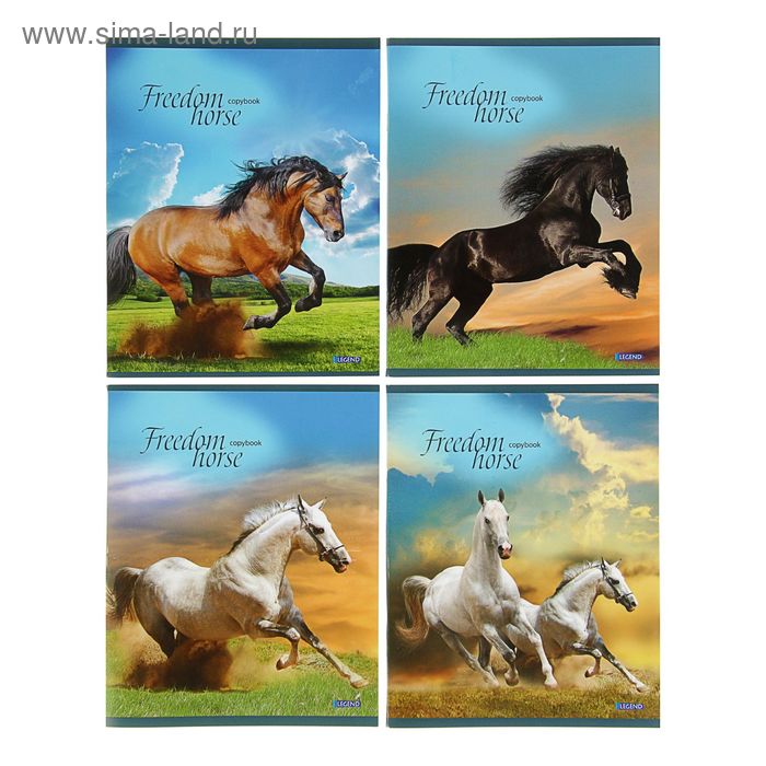 Тетрадь 48 листов клетка "Красивые лошади-2", обложка мелованный картон, 4 вида МИКС - Фото 1