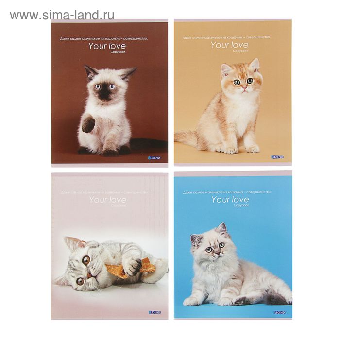 Тетрадь 96 листов клетка "Милые кошки-2", обложка мелованный картон, 4 вида МИКС - Фото 1