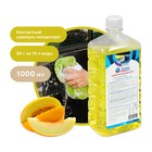 Шампунь-концентрат с полирующим эффектом Grand Caratt «Natural» Дыня, ручной, 1000 мл, контактный - Фото 1