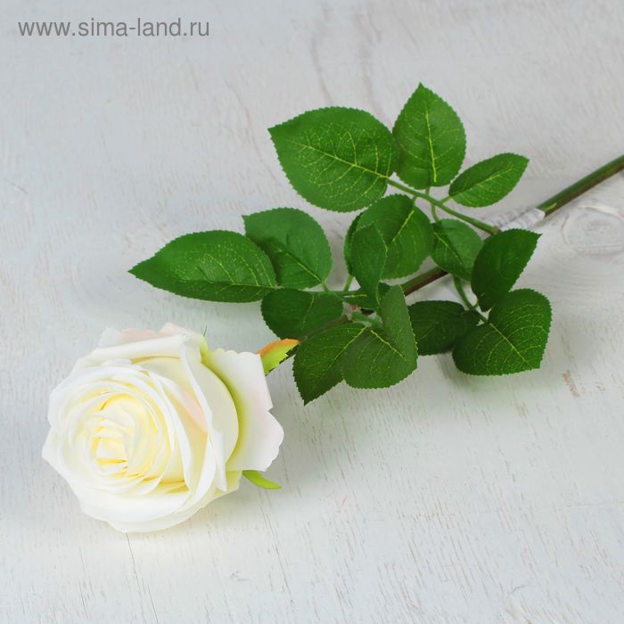 Цветы искусственные "Роза экспрессия" 9,5*66 см, белая - Фото 1