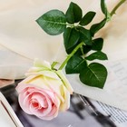 Цветы искусственные "Роза экспрессия" 9,5х66 см, розовый - фото 319849390