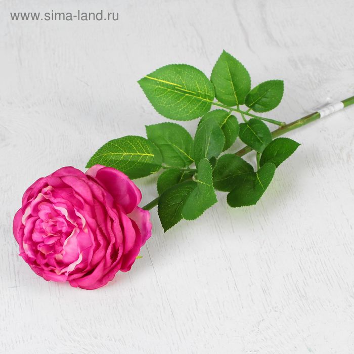 Цветы искусственные "Роза бархатная" 11*65 см, сиреневая - Фото 1