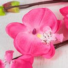 Цветы искусственные "Орхидея фаленопсис" 12*75 см, малиновая - Фото 2