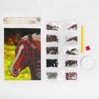 Алмазная мозаика с частичным заполнением на холсте «Лошадь», 15 х 21 см - Фото 4