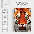 Алмазная мозаика с полным заполнением на холсте «Тигр», 15 х 21 см - фото 3695596