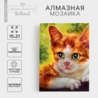 Алмазная мозаика с частичным заполнением на холсте «Котёнок», 15×21 см - Фото 1