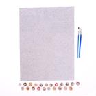 Роспись по холсту «Женщина в красном» по номерам с красками по 3 мл+ кисти+крепёж, 30×40 см - Фото 3