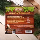 Набор эфирных масел, 8 шт. по 10 мл «Хозяину бани» - Фото 5