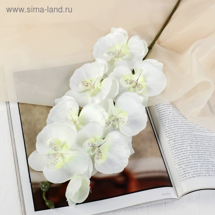 Цветы искусственные "Орхидея молди" 9х66 см, белый - Фото 1