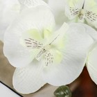 Цветы искусственные "Орхидея молди" 9х66 см, белый - Фото 2