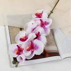Цветы искусственные "Орхидея молди" 9х66 см, бело-фиолетовый - фото 318013200