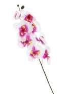 Цветы искусственные «Орхидея молди», 9×66 см, бело-фиолетовые  (артикул 2578240)  большой выбор товаров оптом и в розницу по низким ценам с доставкой