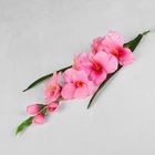 Цветы искусственные "Монтбреция" 9*70 см, розовая - Фото 1