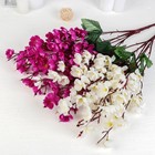 Букет искусственный «Молодая сакура», h=50 см, МИКС 2578255