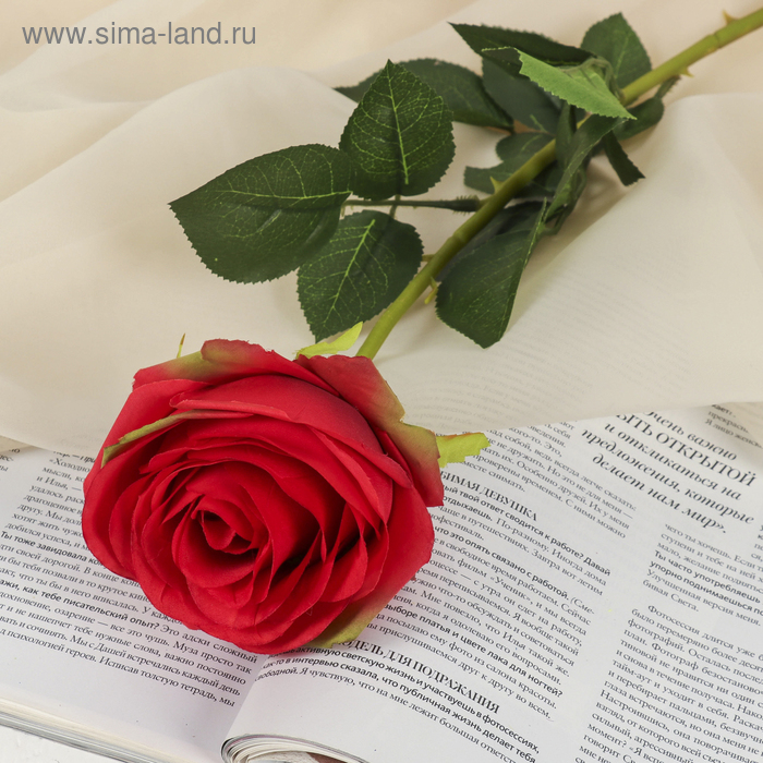 Цветы искусственные "Роза экспрессия" 9,5*66 см, красная - Фото 1
