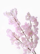 Цветы искусственные «Мелани», 6×100 см, свето-розовые - фото 60075504