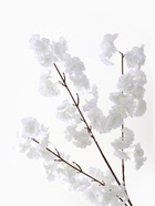 Цветы искусственные "Мелани" 6*100 см, белые - фото 809295004