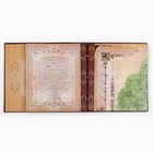 Родословная книга с рамкой под фото «Родословная книга», под дерево, 50 листов, 21,5 х 23,7 см - Фото 12