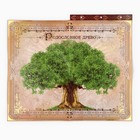 Родословная книга с рамкой под фото «Родословная книга», под дерево, 50 листов, 21.5×23.7 см - Фото 14